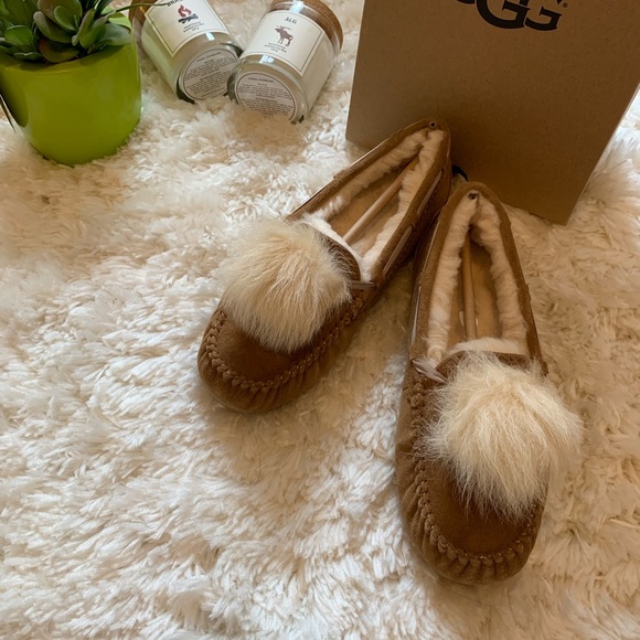 UGG Shoes - 🍂UGG women Dakota Pom Pom chestnut 🌰